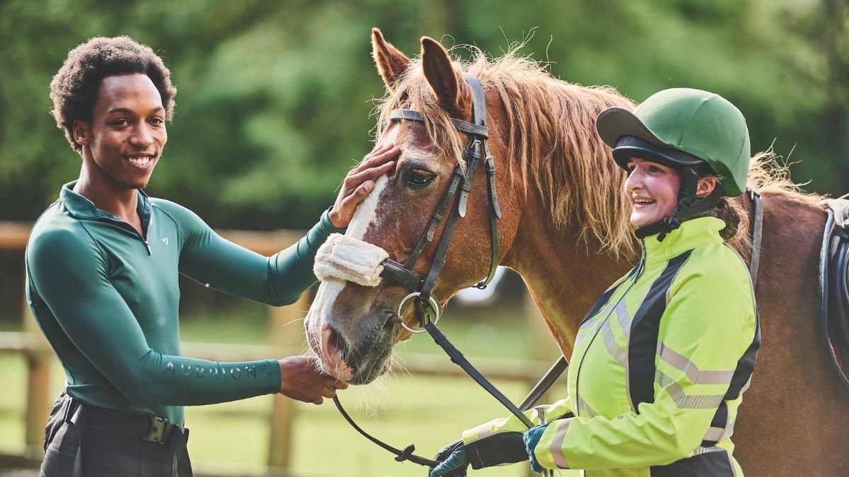 MyHarness: Transforming the Way Teams Ship Software