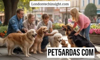 Pet5ardas Com: The Ultimate Digital Platform for Immaculate Grid, Sports Analysis, and Smart Online Entertainment